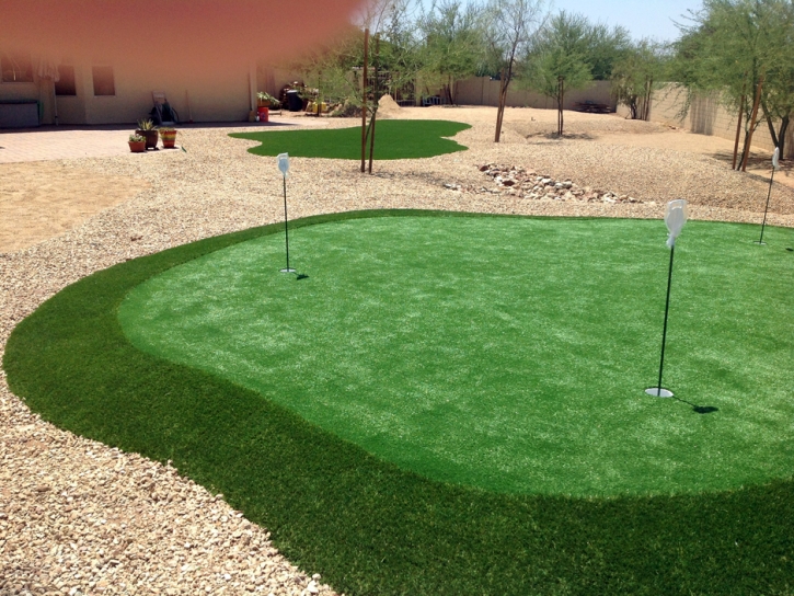 Turf Grass Rancho San Diego, California Artificial Putting Greens, Backyards