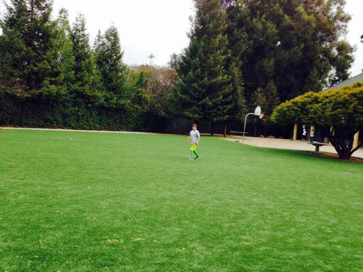 Turf Grass Solana Beach, California Backyard Sports, Recreational Areas